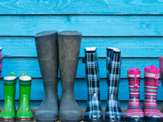 WELLIES WANTED!!